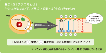 プラズマパルサー プラズマエネルギー（電子）を体内へ供給